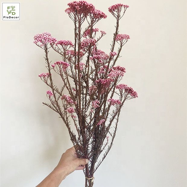 High Quality Real Touch Mini Rice Flower Dried Preserved Flower Bouquet Fresh Natural Stem Eternal Home Decoration