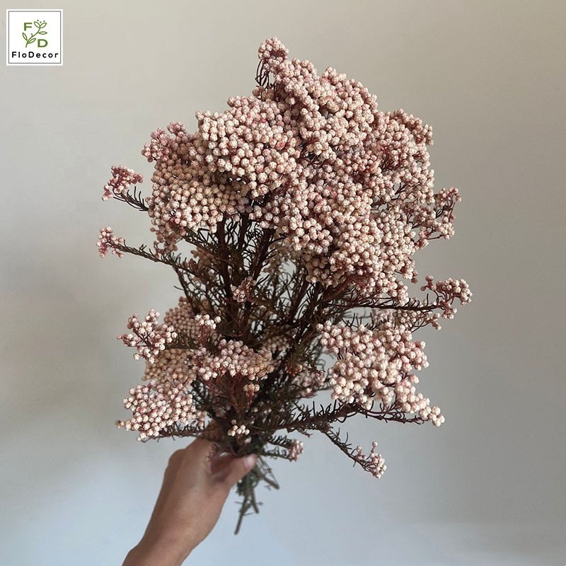 High Quality Real Touch Mini Rice Flower Dried Preserved Flower Bouquet Fresh Natural Stem Eternal Home Decoration