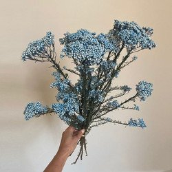 Aquamarine