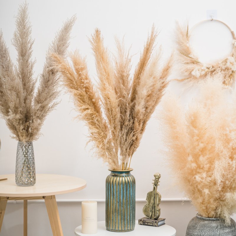 factory supply large fluffy natural Pampas grass high quality Dried Flowers One-stop service Fo Decorative Flower