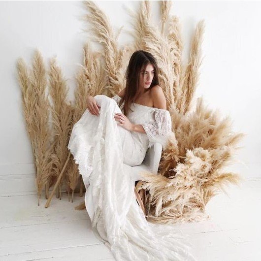 factory supply large fluffy natural Pampas grass high quality Dried Flowers One-stop service Fo Decorative Flower