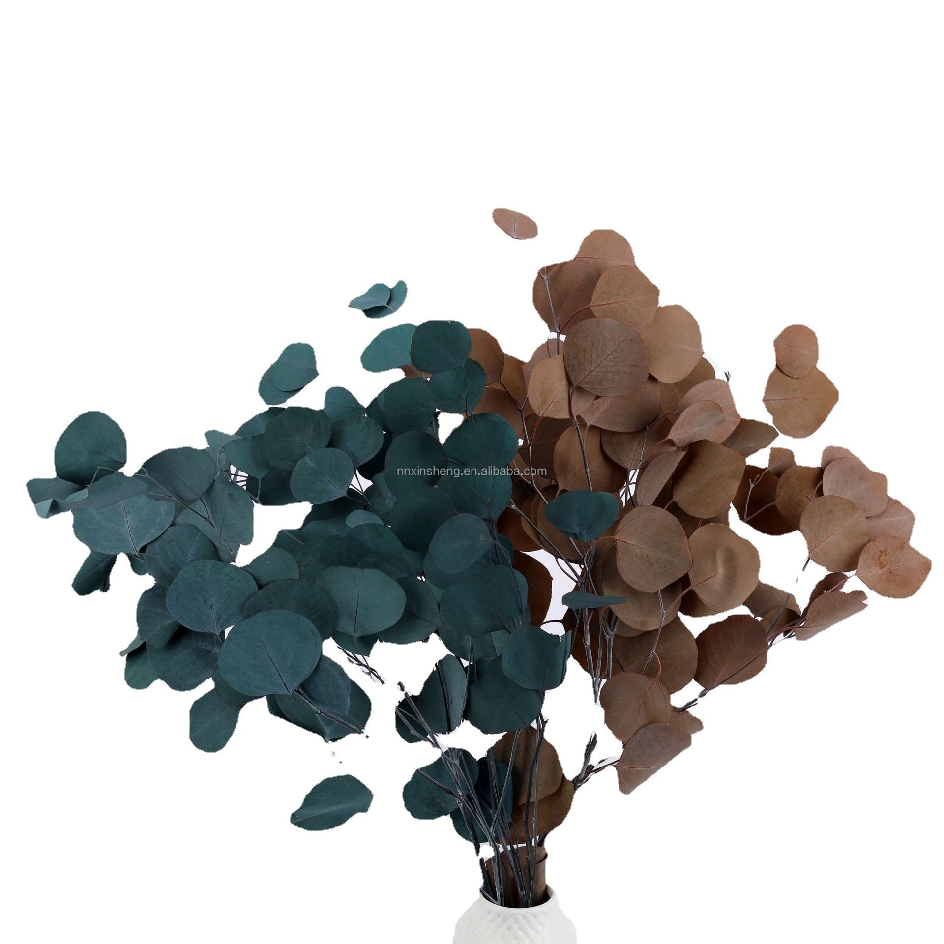 real tough dried flowers and plants decorative preserved eucalyptus with leaves and stems green color for eucalyptus garland