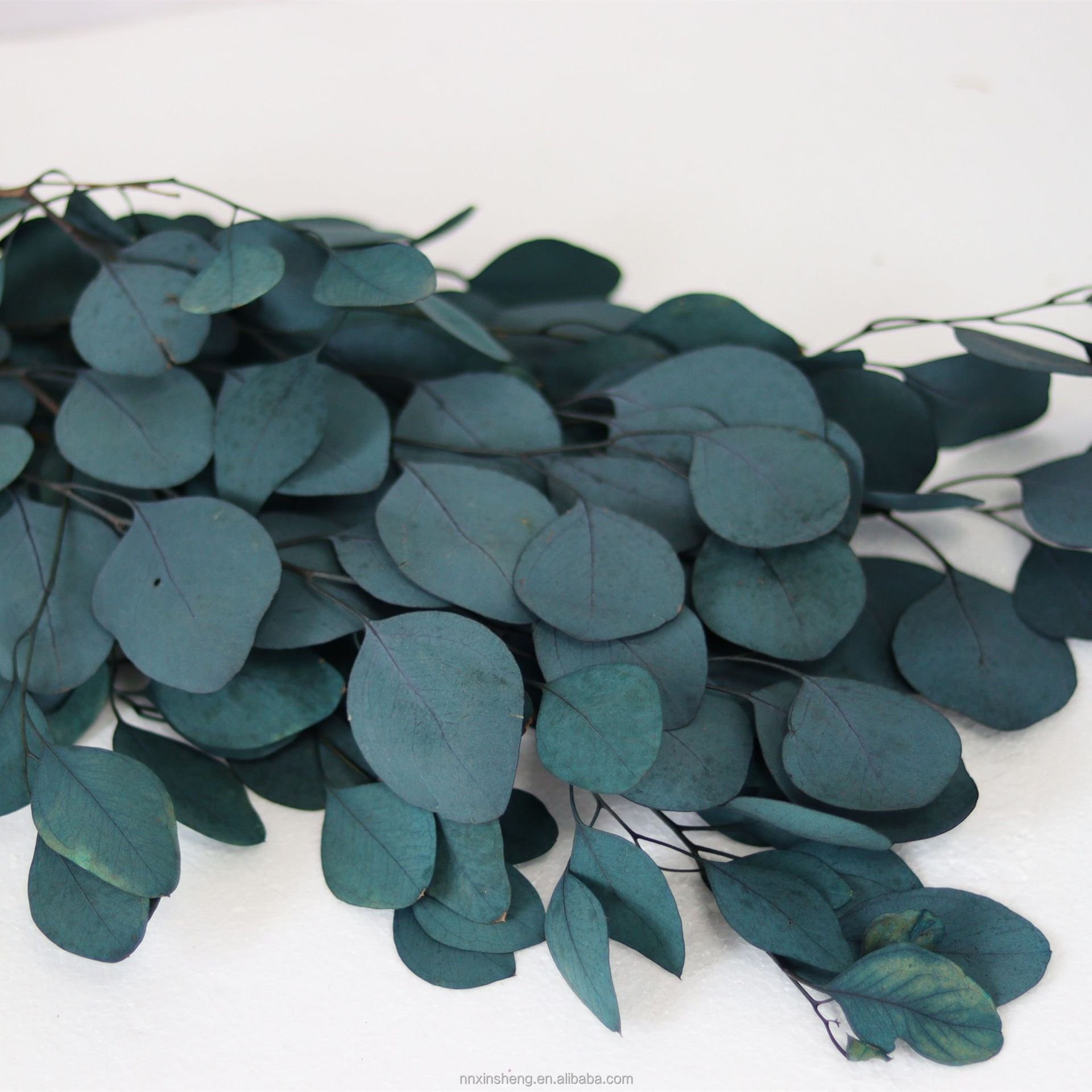 real tough dried flowers and plants decorative preserved eucalyptus with leaves and stems green color for eucalyptus garland