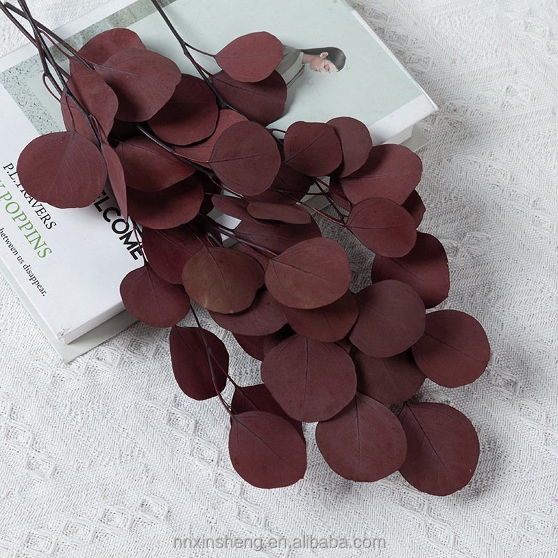 real tough dried flowers and plants decorative preserved eucalyptus with leaves and stems green color for eucalyptus garland