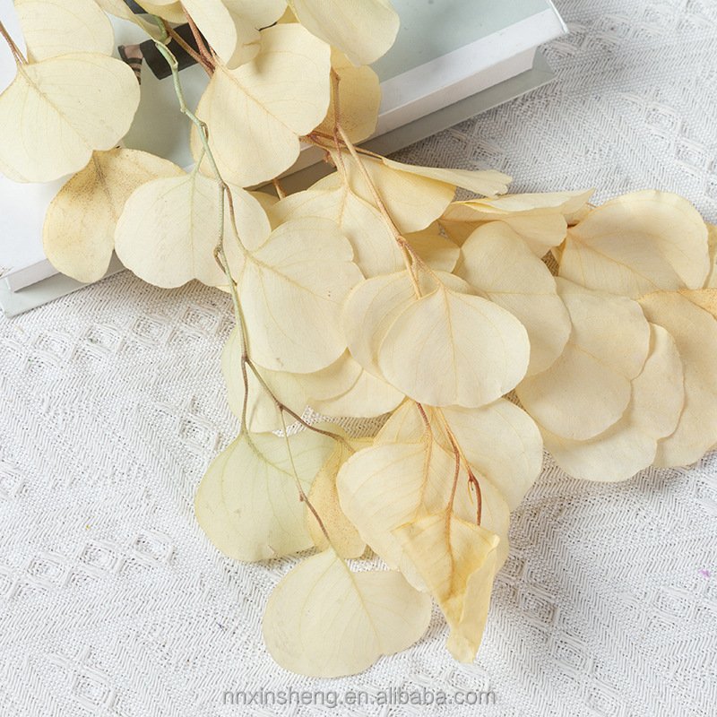 real tough dried flowers and plants decorative preserved eucalyptus with leaves and stems green color for eucalyptus garland