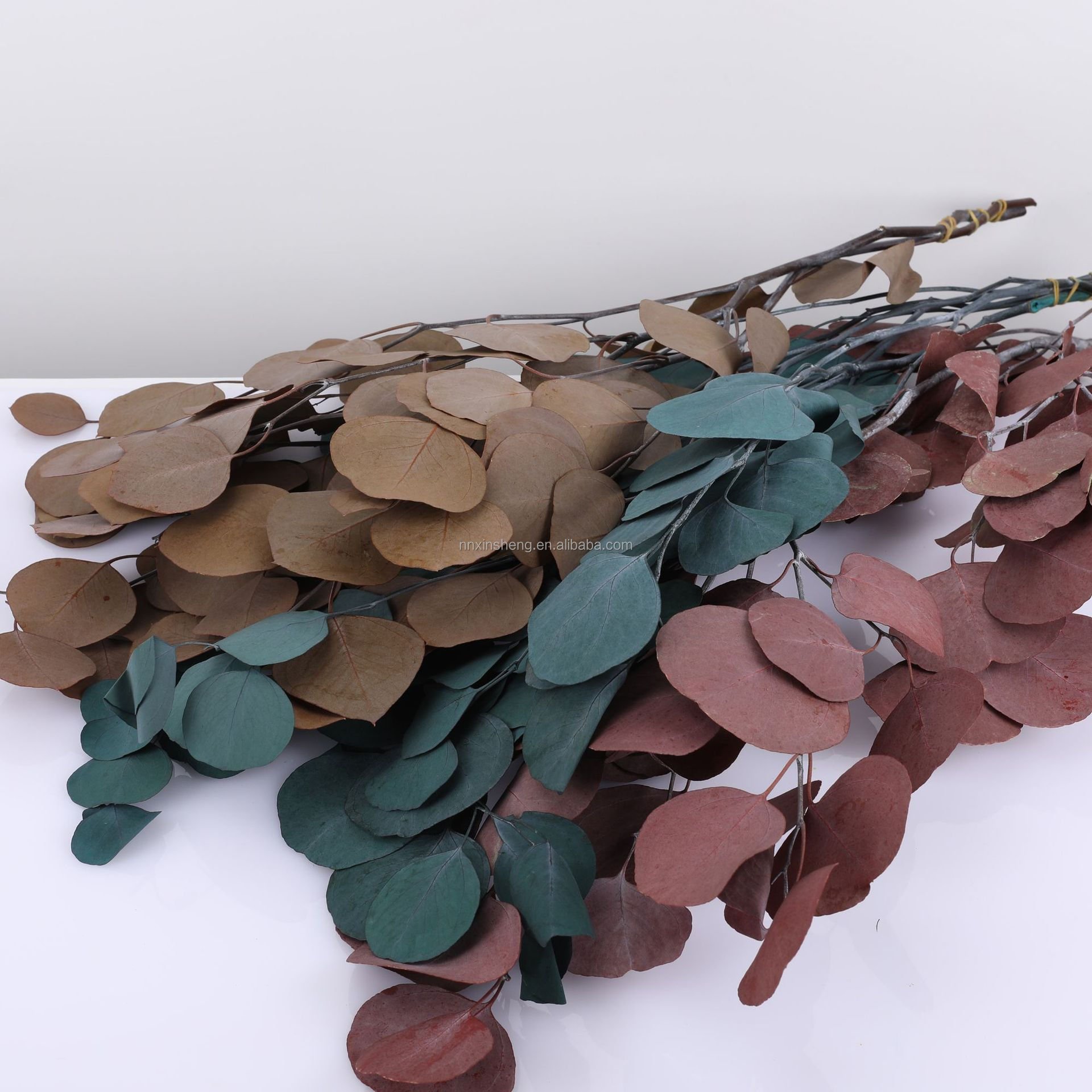 real tough dried flowers and plants decorative preserved eucalyptus with leaves and stems green color for eucalyptus garland
