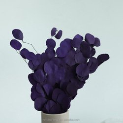 Puple