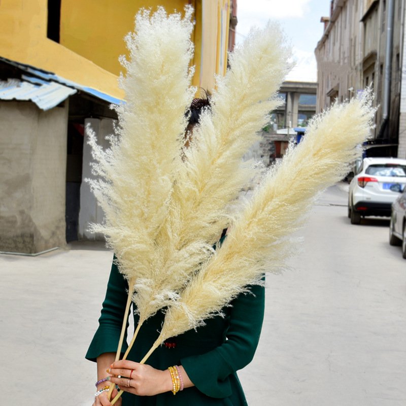G12 Wedding Floral Boho Neutral Home Decor Bouquet Artificial Pampass Grass Pink Pampas Grass Decor Tall Large Pompas Grass