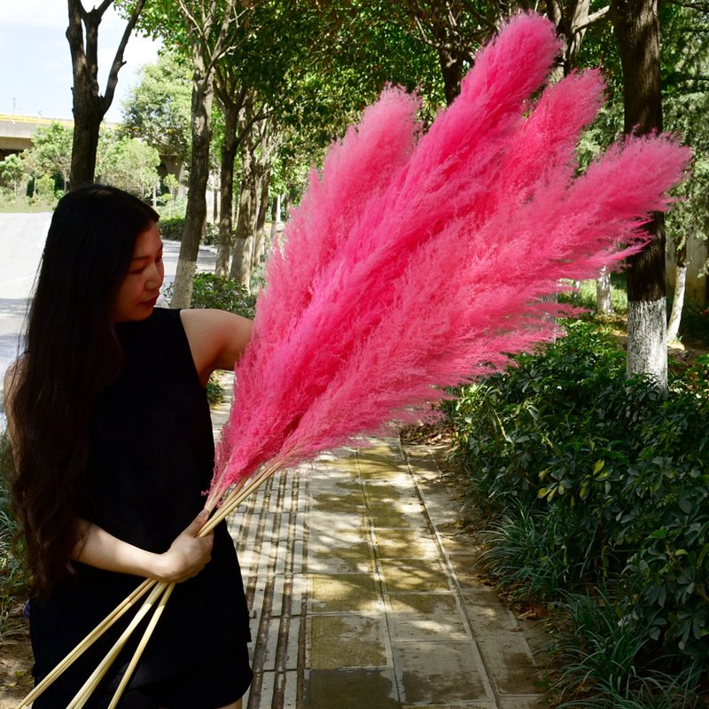G12 Wedding Floral Boho Neutral Home Decor Bouquet Artificial Pampass Grass Pink Pampas Grass Decor Tall Large Pompas Grass