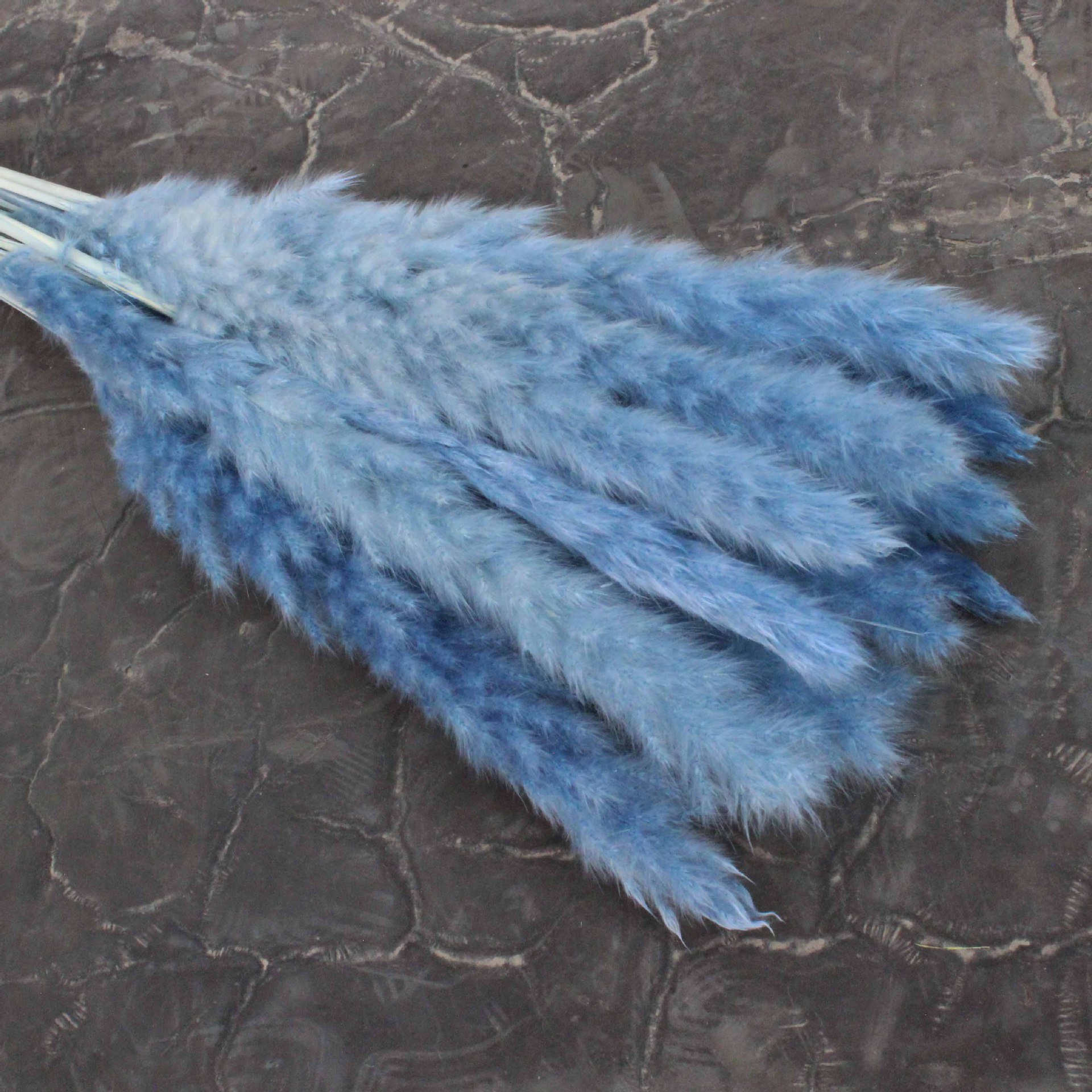 Yunnan Wholesale Fluffy Small Pampas Grass Dried Pampas Grass For Wedding Centerpieces