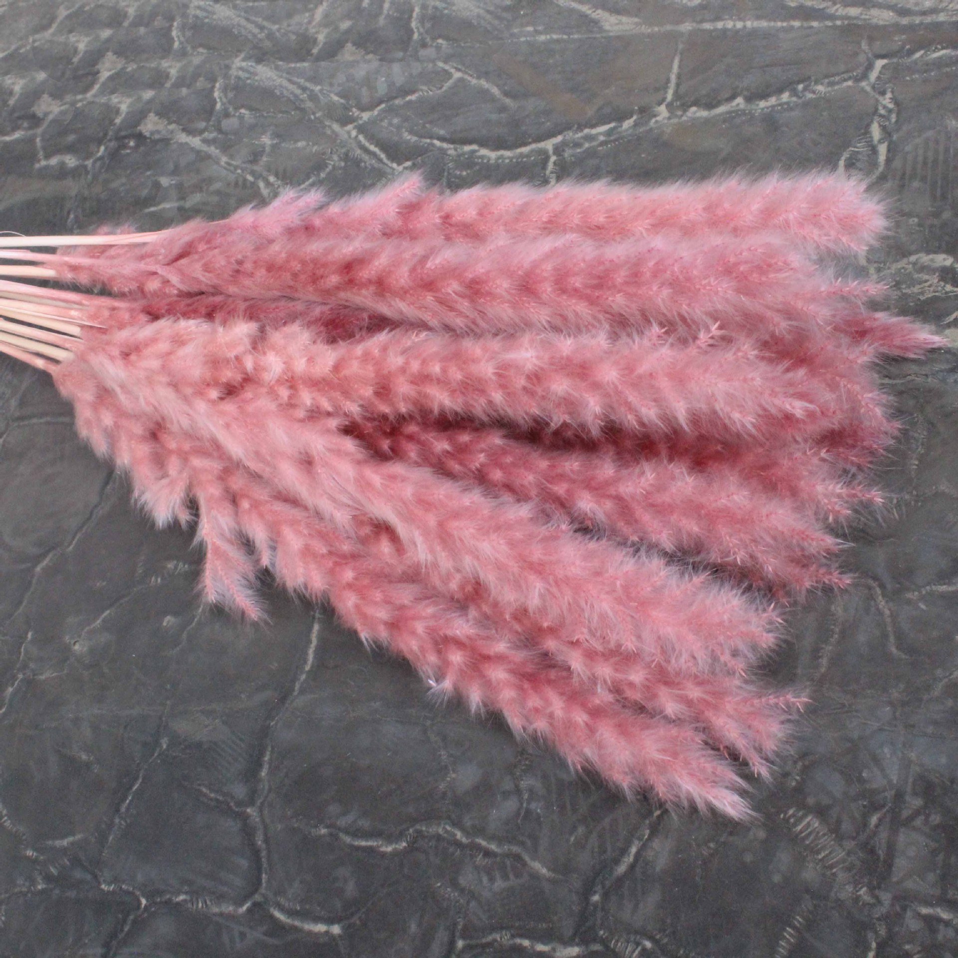 Yunnan Wholesale Fluffy Small Pampas Grass Dried Pampas Grass For Wedding Centerpieces