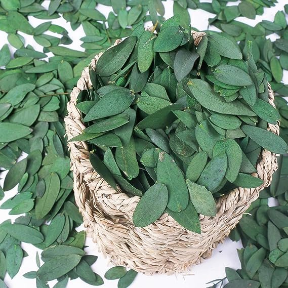 1kg Preserved Real Eucalyptus Leaves Natural Bulk Eucalyptus Customized Biodegradable Wedding Leaves Confetti DIY Decoration