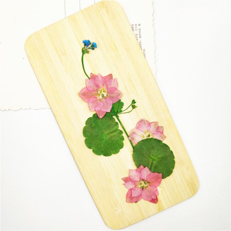 Androsace Umbellata New Preserved Dry Flowers Dry Branches Artificial Decorative Home Decoration Dead Branches Artificial Flower