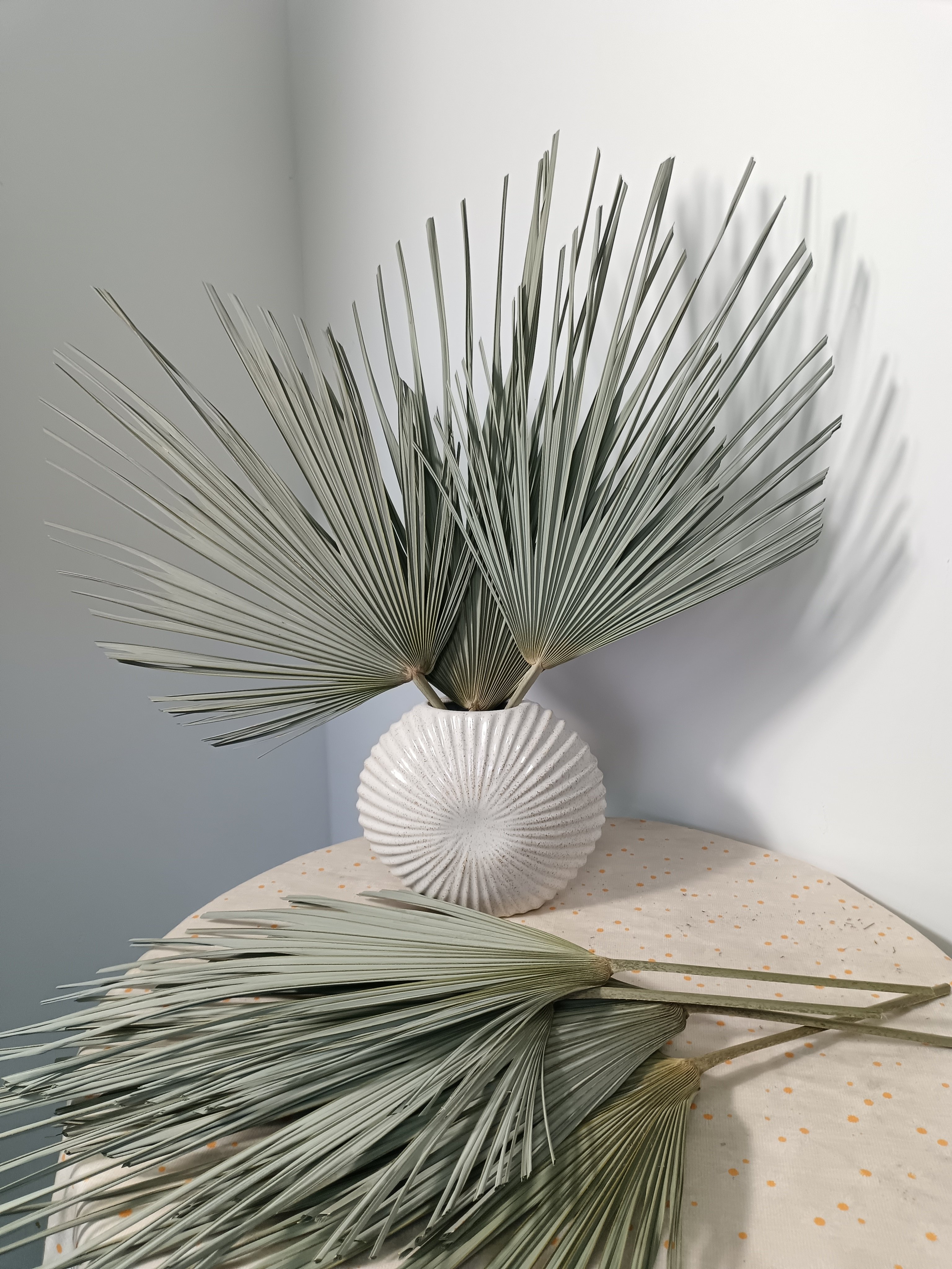 dried natural spear palm fronds, sun fans, bifurcated spraying shape leaves,original Chinese supplier cheapest