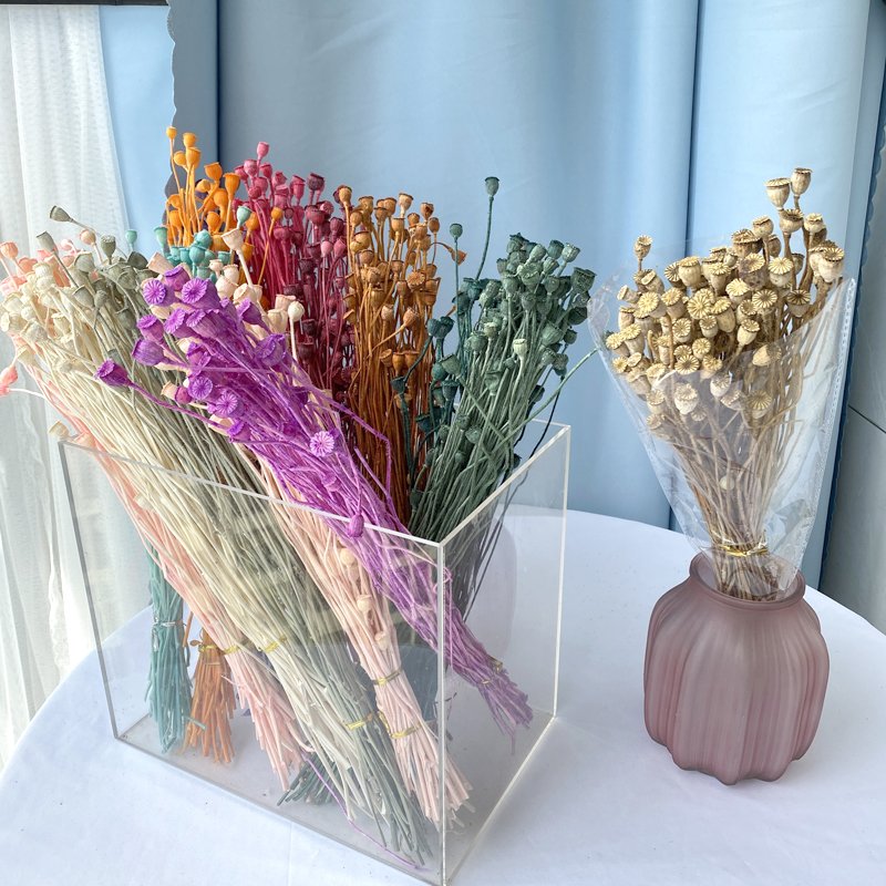 Dried Flowers Shirley Poppy DIY Floral Xmas Decoration Wedding Floral Decor Natural Dried Foliage Colorful Corn Poppy Flower