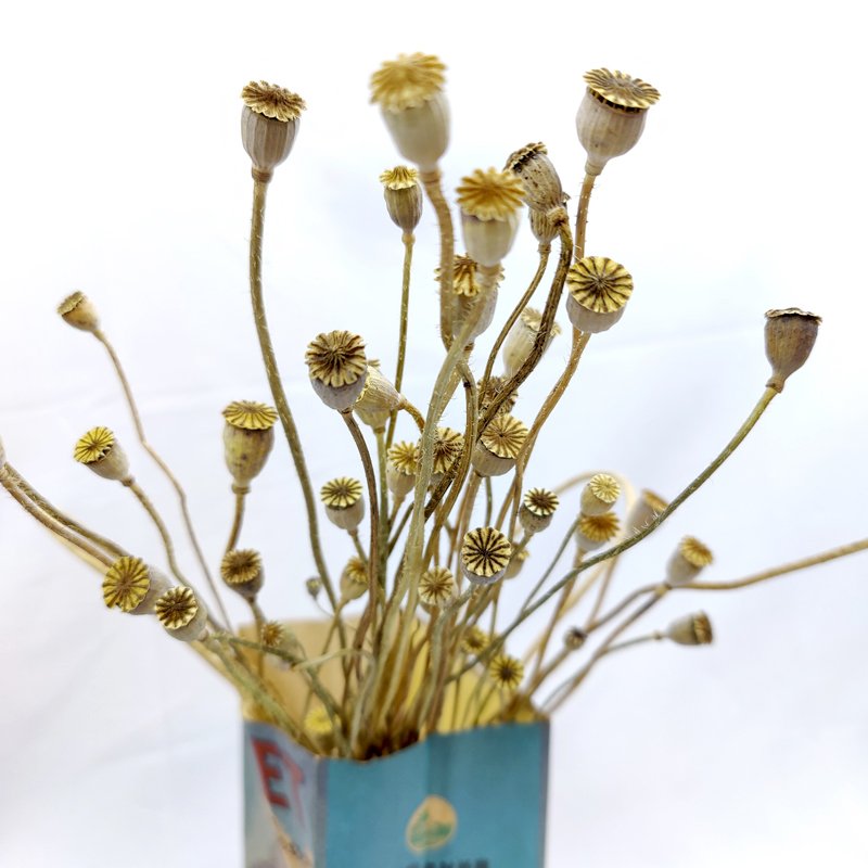 Dried Flowers Shirley Poppy DIY Floral Xmas Decoration Wedding Floral Decor Natural Dried Foliage Colorful Corn Poppy Flower