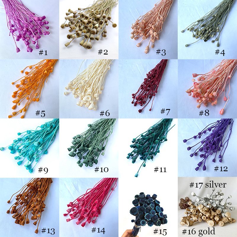 Dried Flowers Shirley Poppy DIY Floral Xmas Decoration Wedding Floral Decor Natural Dried Foliage Colorful Corn Poppy Flower