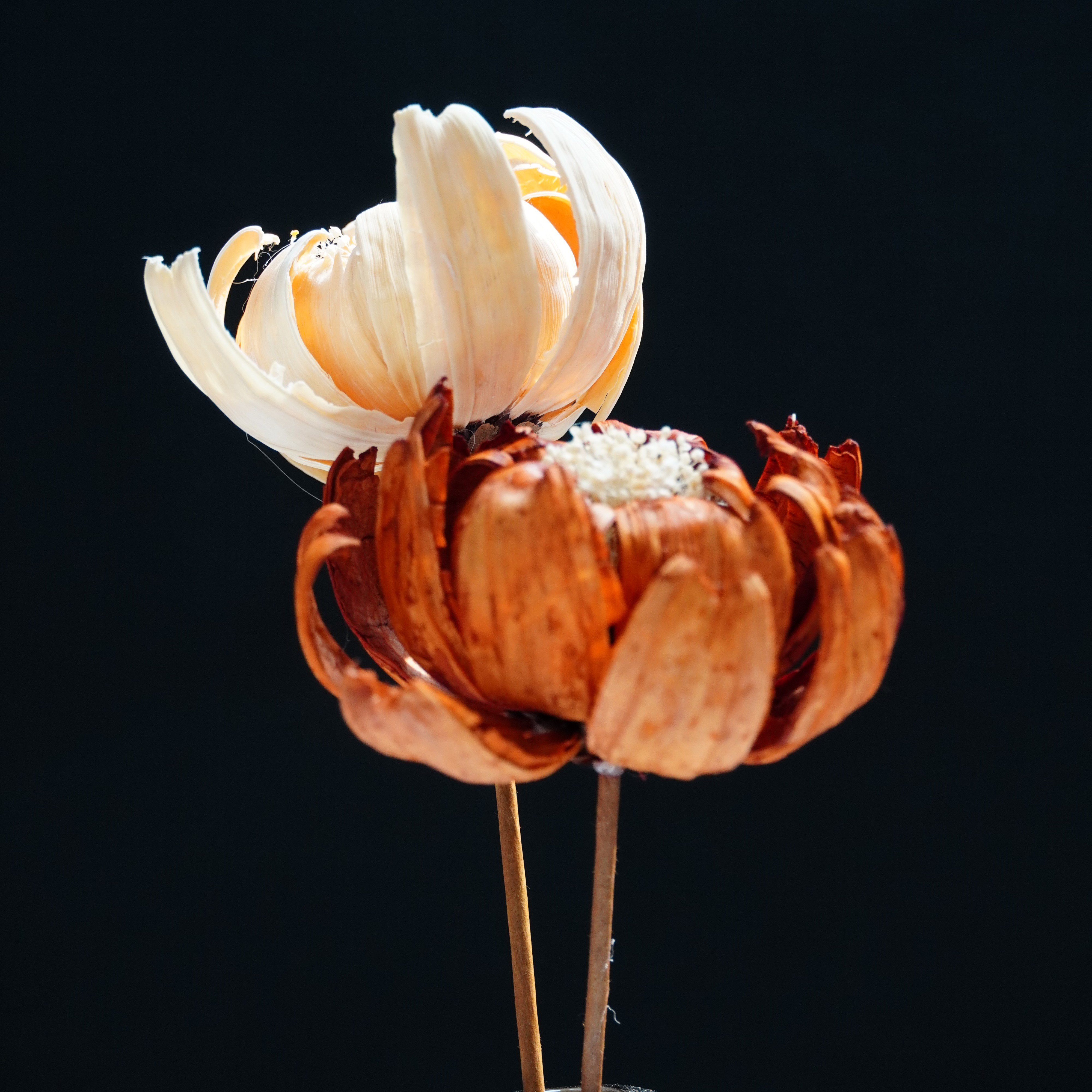 Handmade natural dried flowers home decor with Artificial Husk Flowers,Flower Arrangement