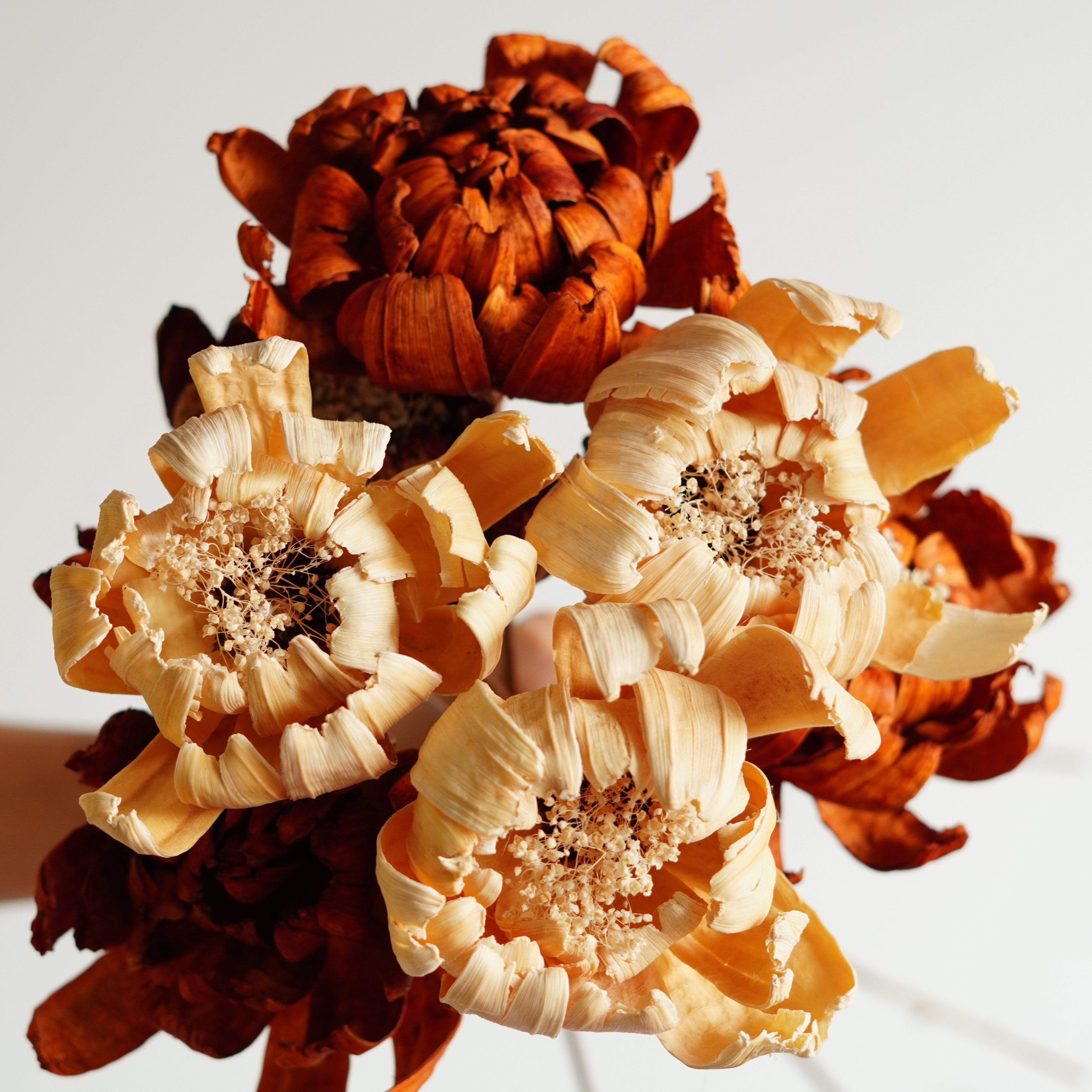 Handmade natural dried flowers home decor with Artificial Husk Flowers,Flower Arrangement