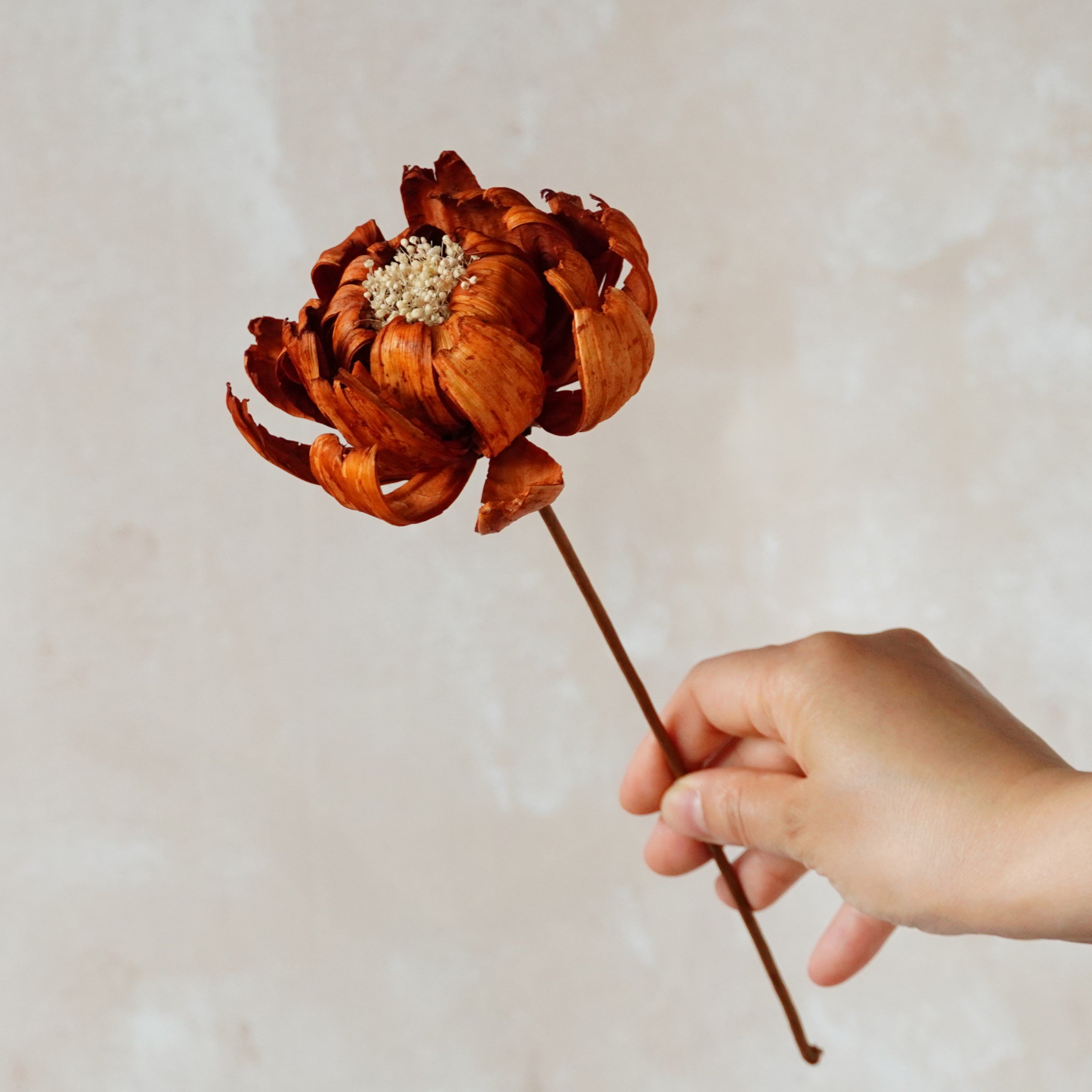 Handmade natural dried flowers home decor with Artificial Husk Flowers,Flower Arrangement
