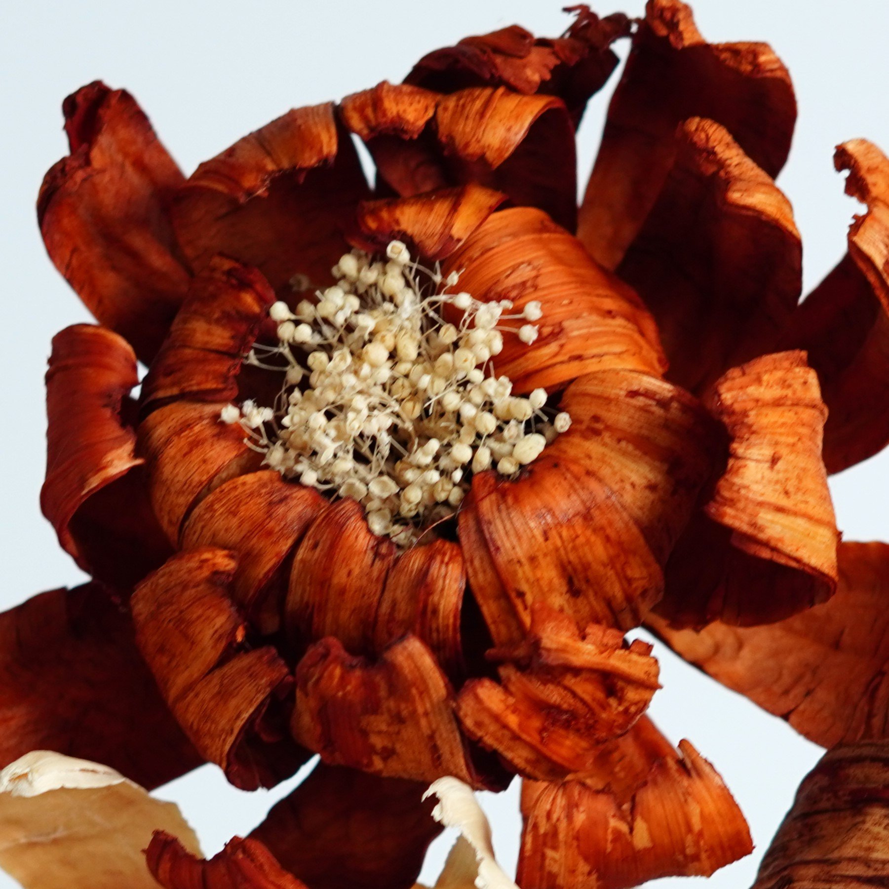 Handmade natural dried flowers home decor with Artificial Husk Flowers,Flower Arrangement