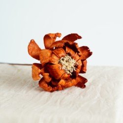 red-orange