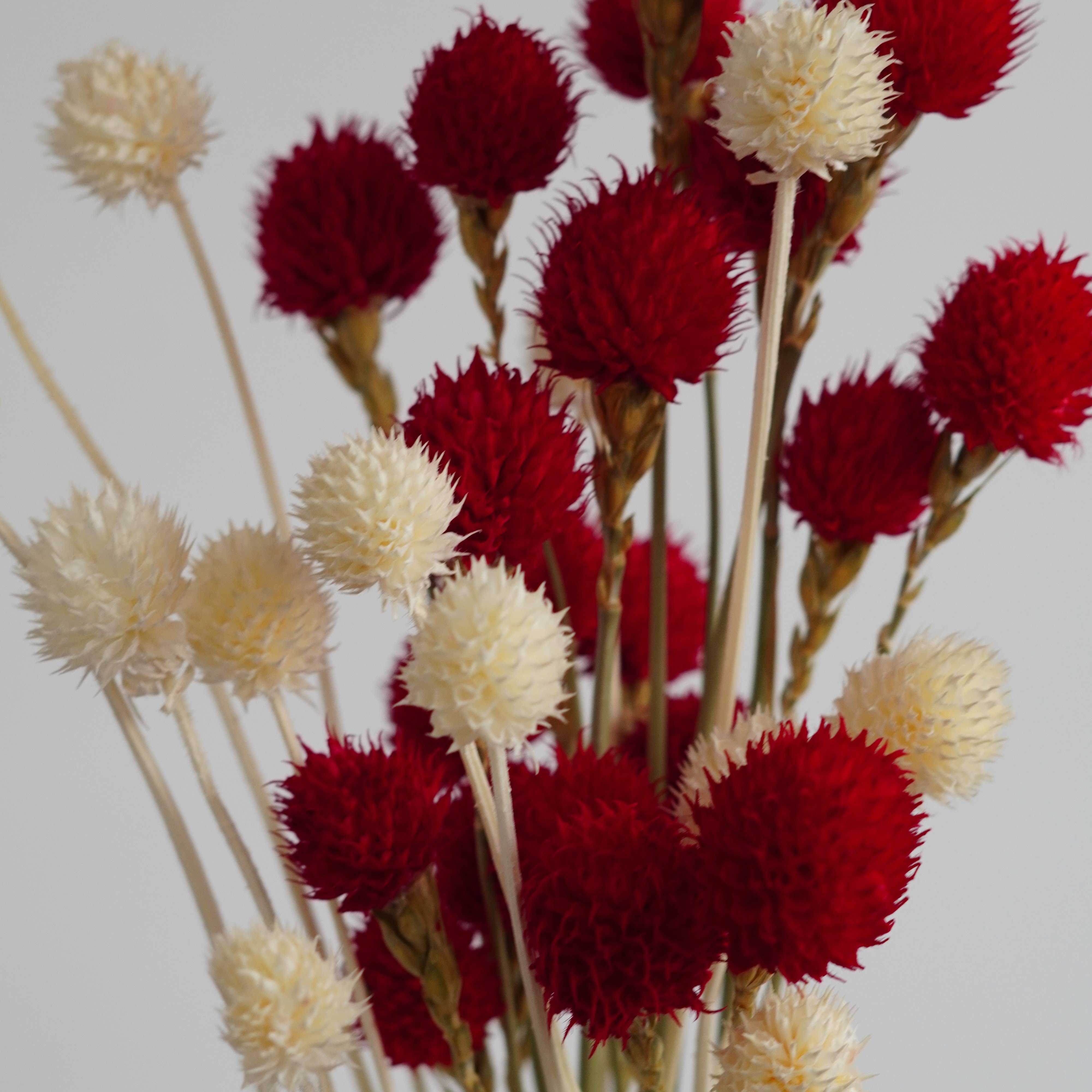 Handmade strawberry fruit with stems Home Wedding Decor High dried Flowers Colorful