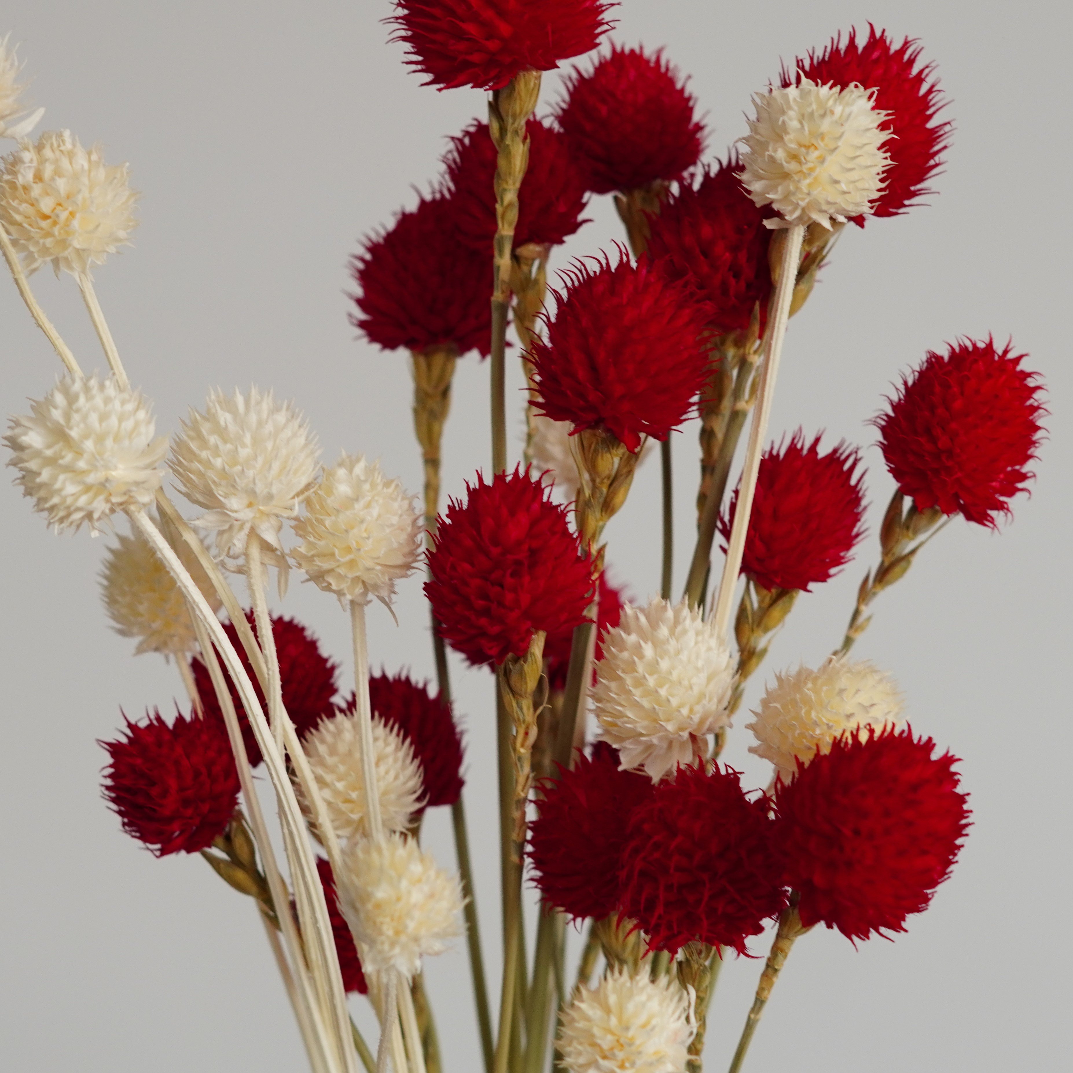 Handmade strawberry fruit with stems Home Wedding Decor High dried Flowers Colorful