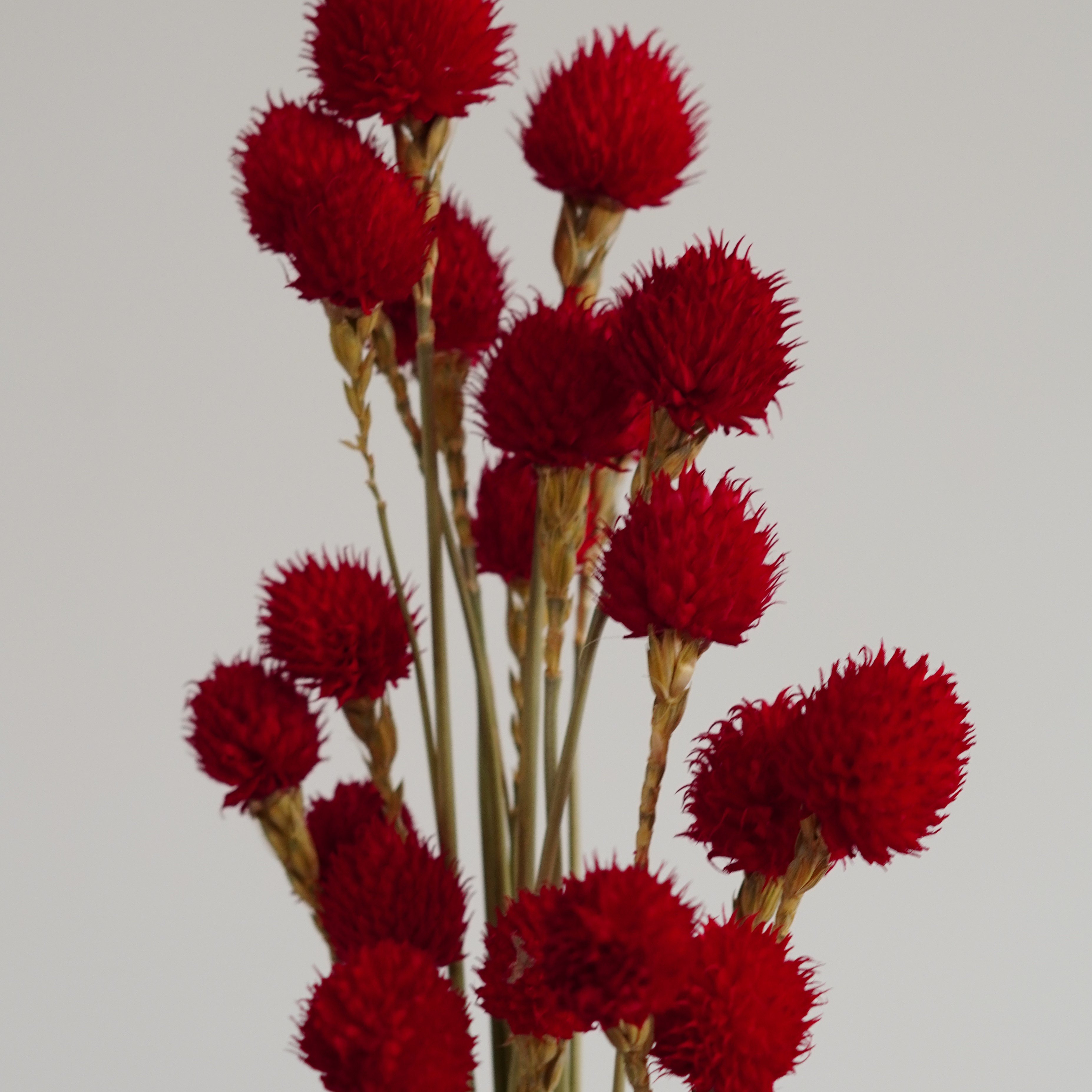Handmade strawberry fruit with stems Home Wedding Decor High dried Flowers Colorful