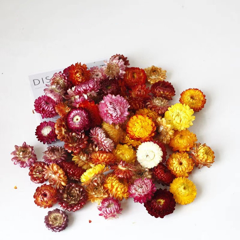 Eternal flower material package wholesale cross-border embossing dried flower DIY handmade floral Christmas gifts