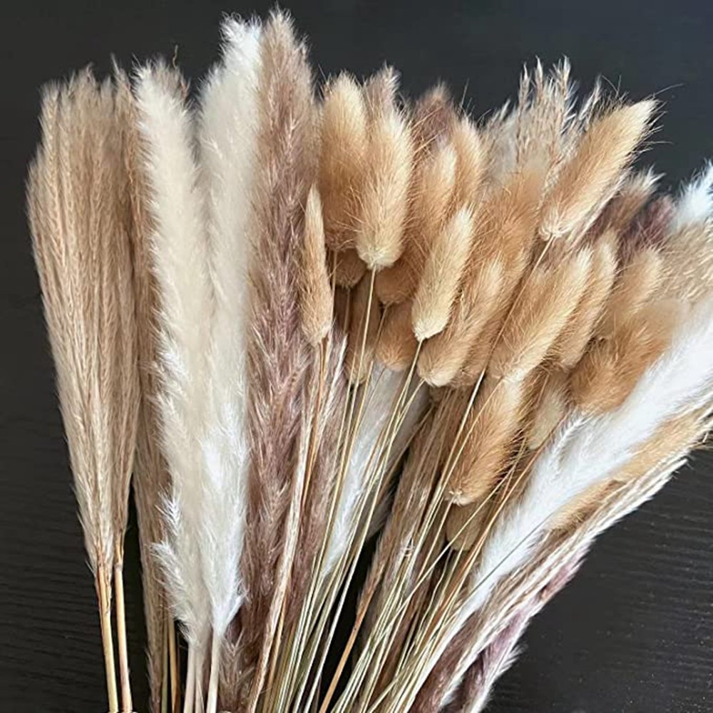 Cream Pampas Grass Fluffy Room Phragmites Decoration Natural Bunny Tail Grass Dried Flowers Bouquet Boho Home Decor