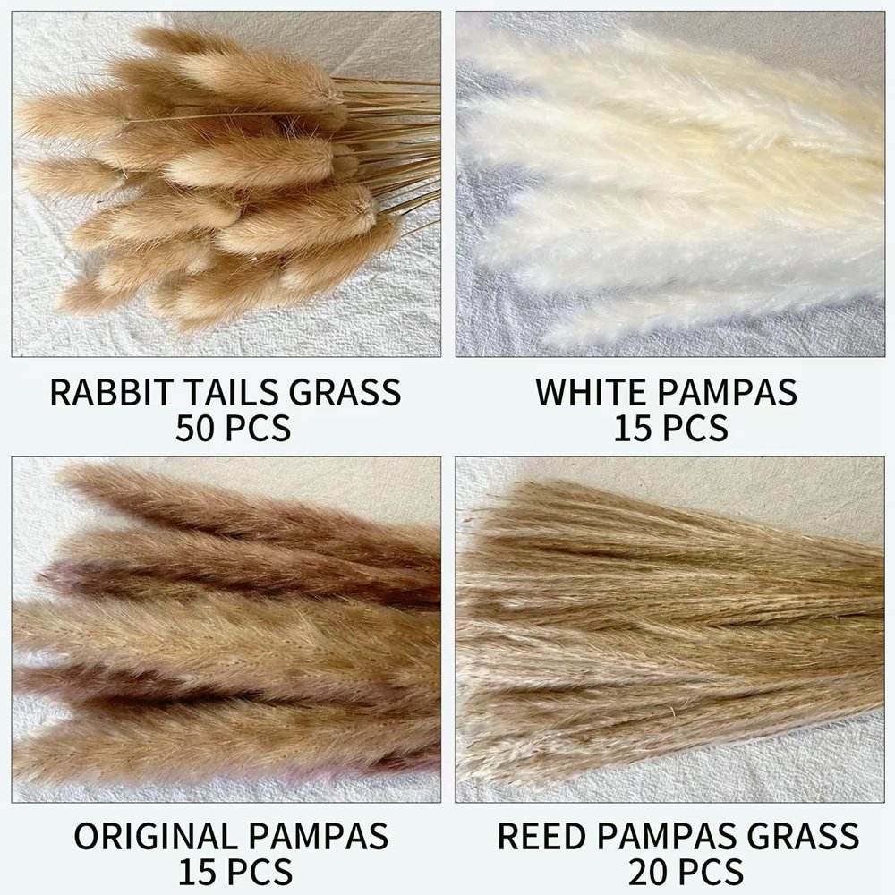 Cream Pampas Grass Fluffy Room Phragmites Decoration Natural Bunny Tail Grass Dried Flowers Bouquet Boho Home Decor