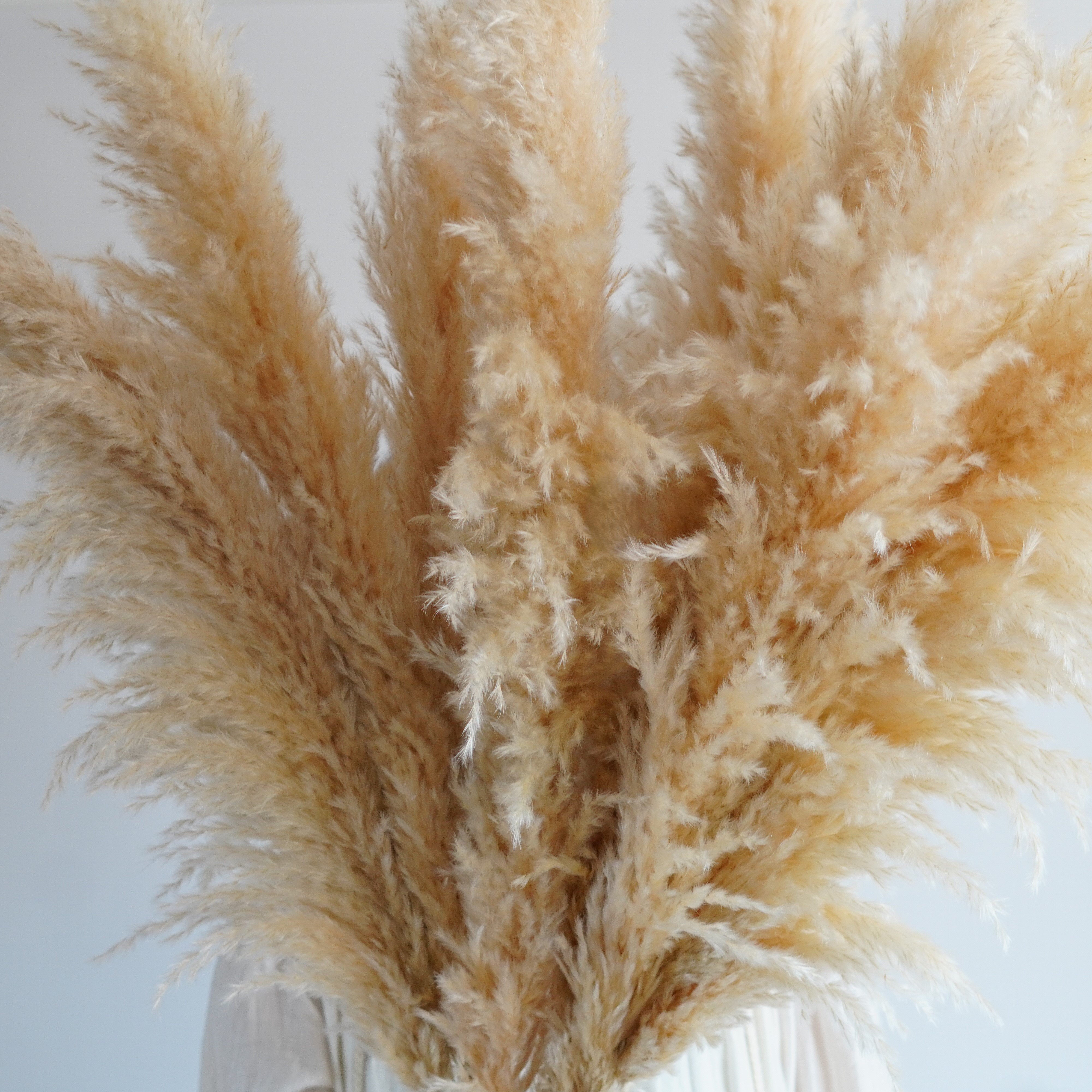 3-4ft | Boho Home Decor Wedding Bouquet | Floral Decorations | Flower Arranging | Pampas Grass