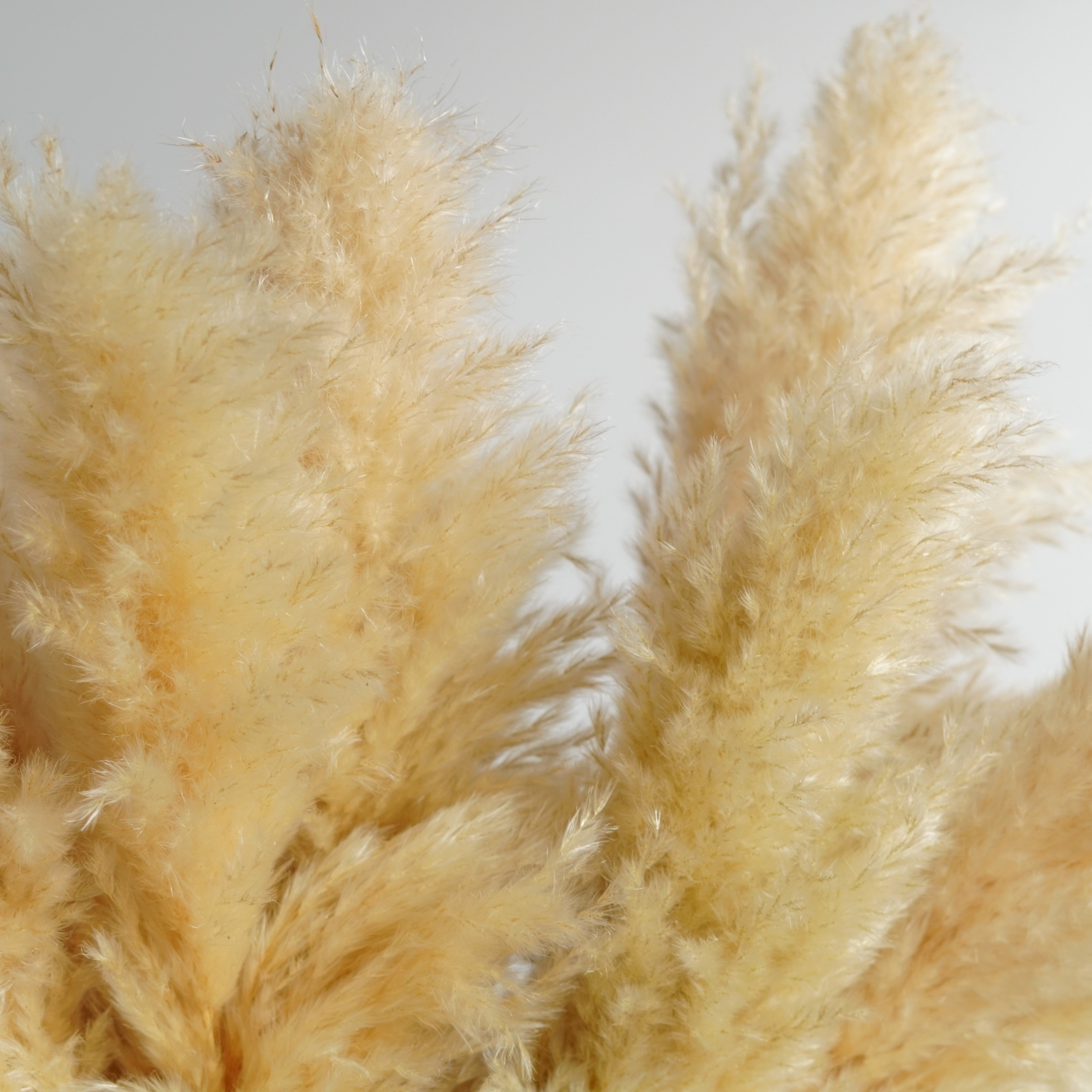 3-4ft | Boho Home Decor Wedding Bouquet | Floral Decorations | Flower Arranging | Pampas Grass
