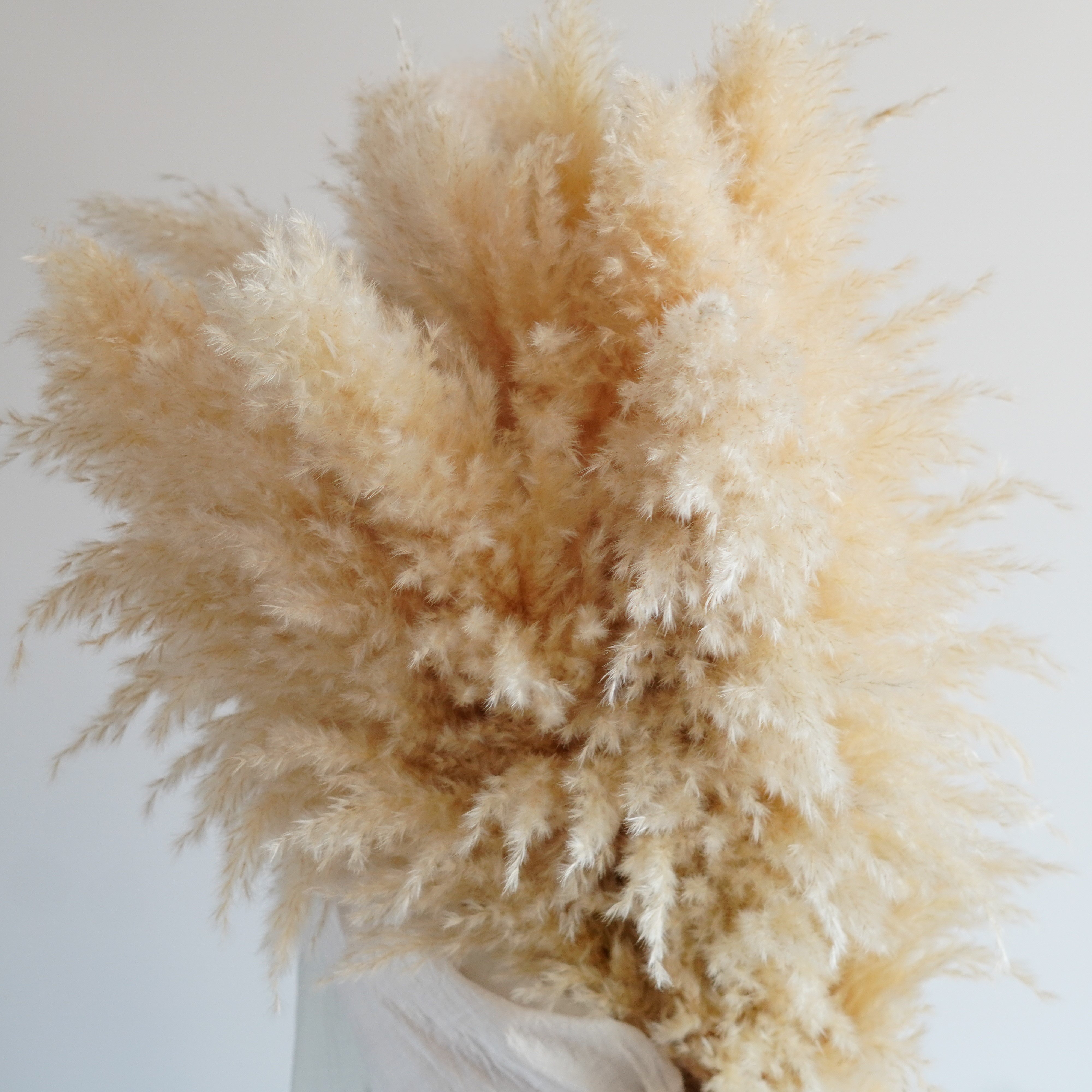 3-4ft | Boho Home Decor Wedding Bouquet | Floral Decorations | Flower Arranging | Pampas Grass