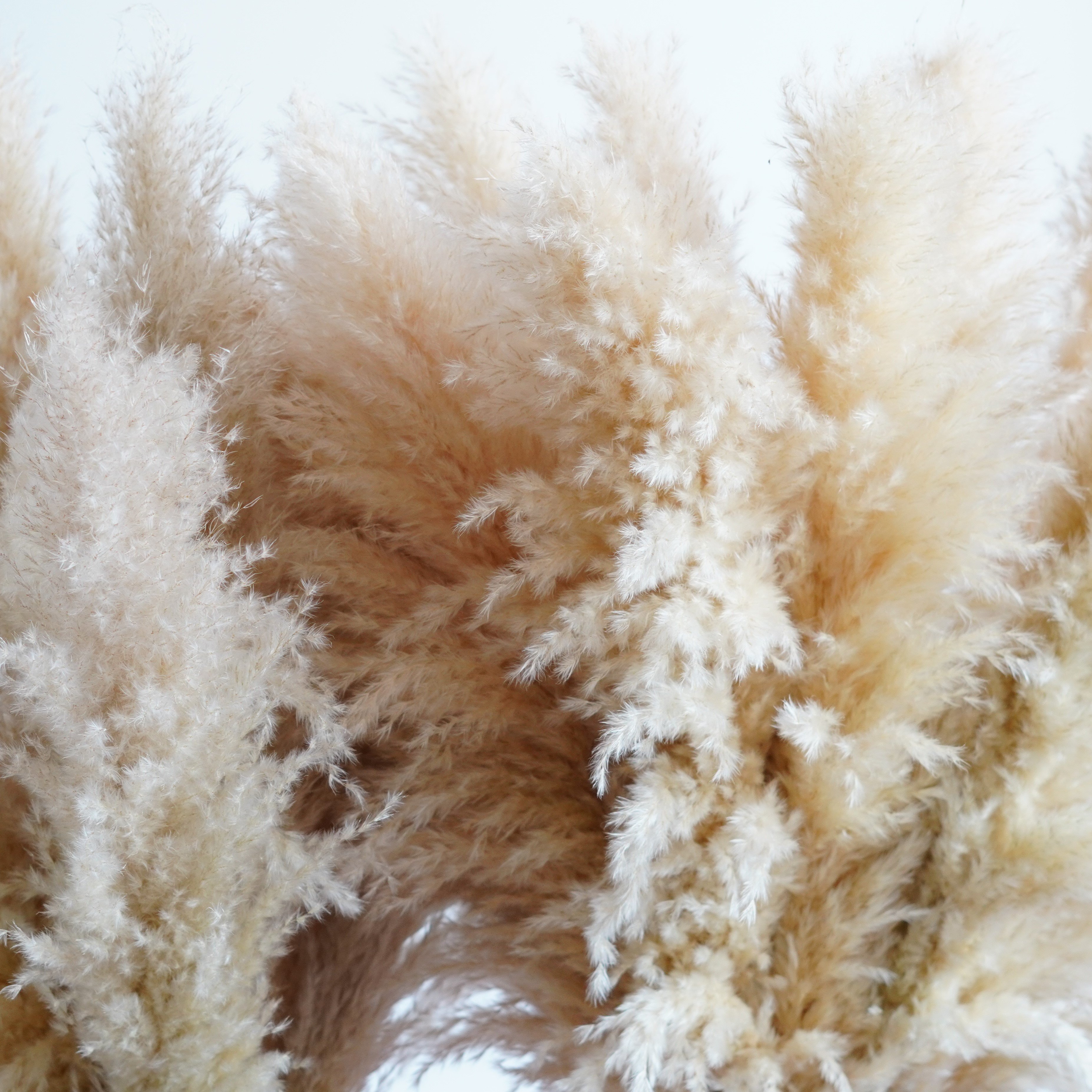 3-4ft | Boho Home Decor Wedding Bouquet | Floral Decorations | Flower Arranging | Pampas Grass