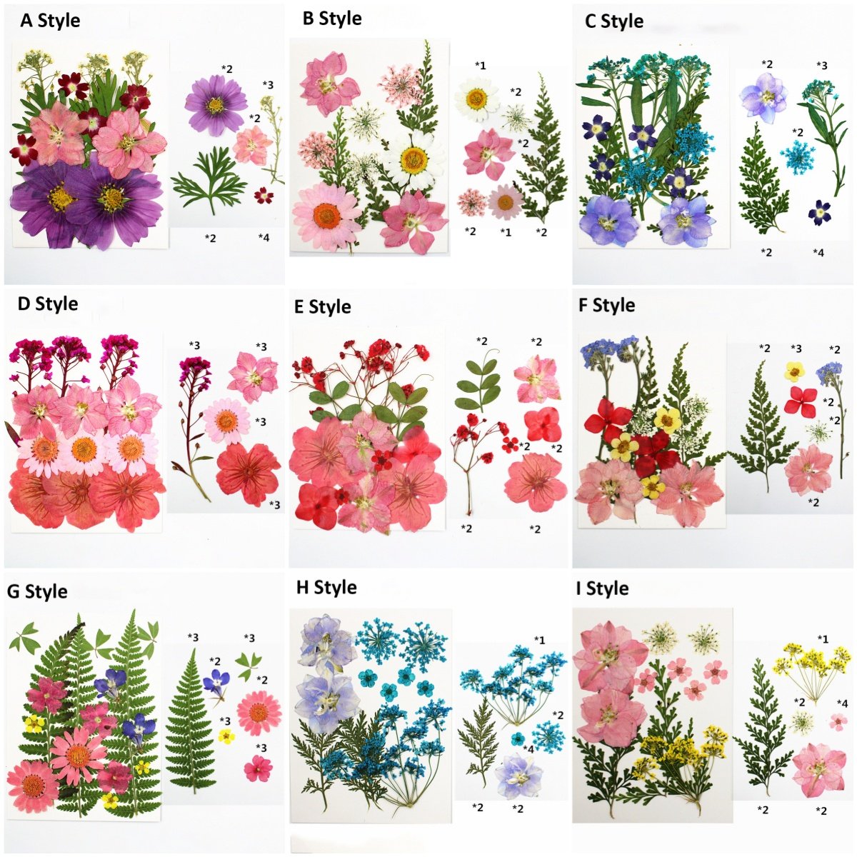 Pressed Flowers Resin Flowers for Resin Mold, Real Daisy Dried Flower Leaves Natural with Tweezers for Scrapbooking DIY Candle
