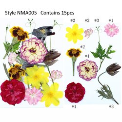 JH-NMA005