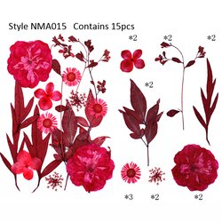 JH-NMA015