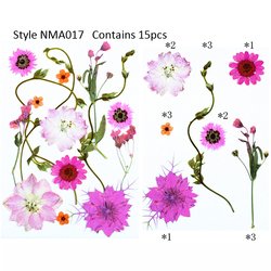 JH-NMA017