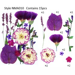 JH-NMA010
