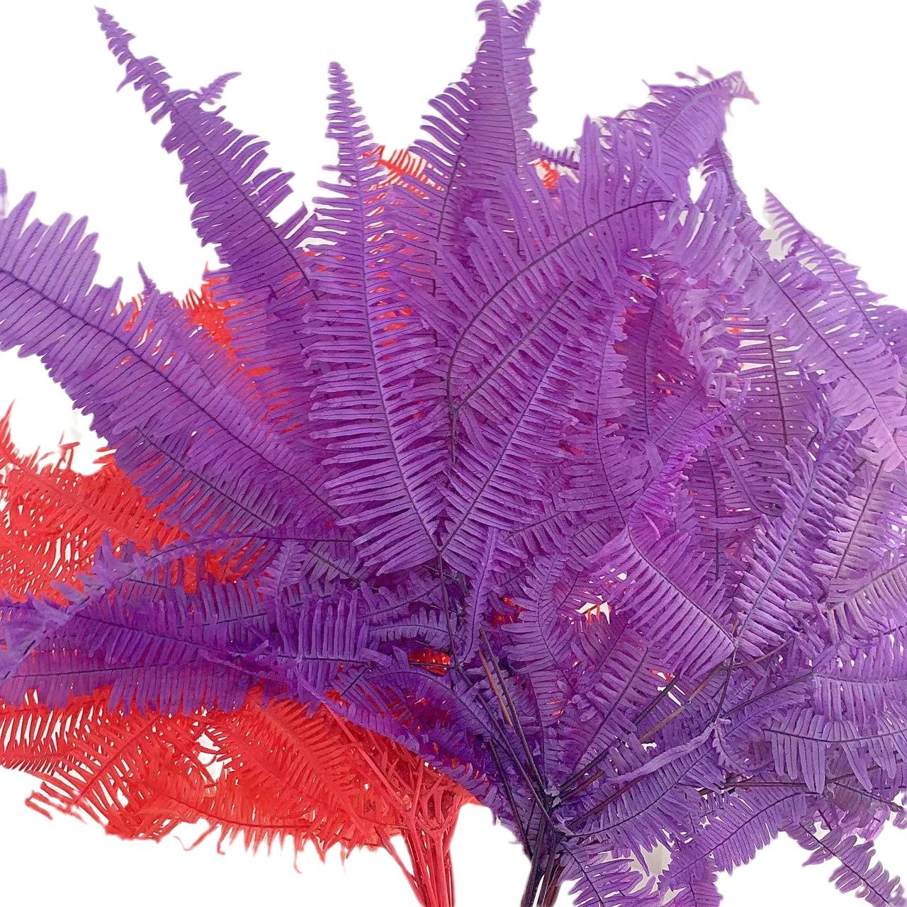 Factory Direct Selling Preserved Colorful Leaf Preserved Fern Leaves for DIY Material From China