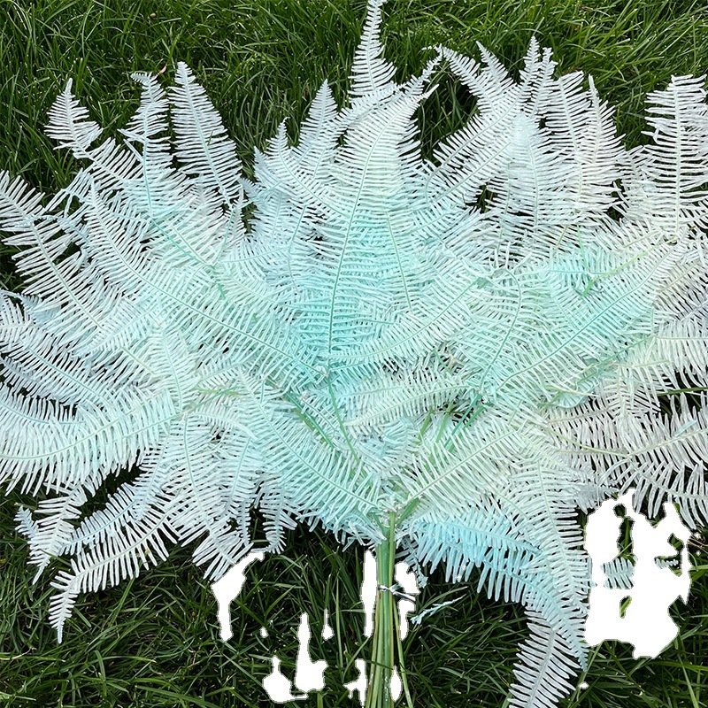 Factory Direct Selling Preserved Colorful Leaf Preserved Fern Leaves for DIY Material From China