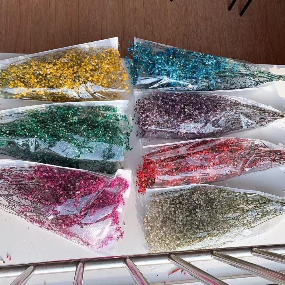 F-1222 Hot Selling Babysbreath Dried Flowers Dry Preserved Flower