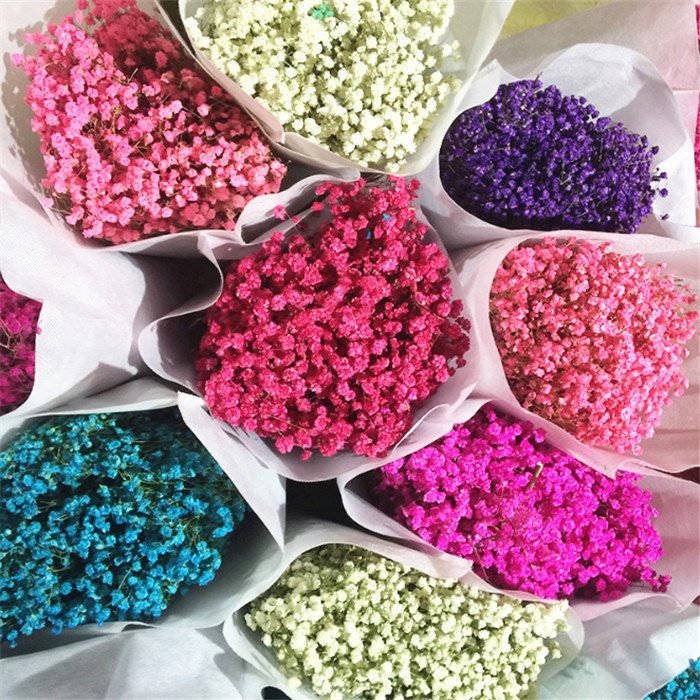 F-1222 Hot Selling Babysbreath Dried Flowers Dry Preserved Flower