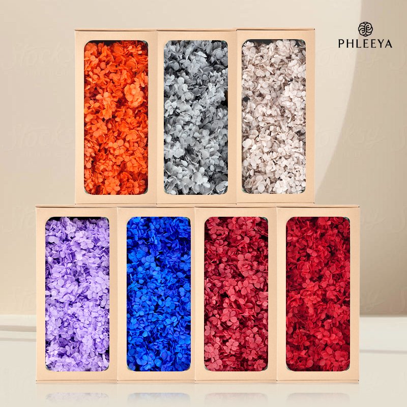 Hot sale Dried Flower Real Plants Preserved Home Decoration Weeding Stabilized Natural Eternal Hydrangeas Forever Flowers