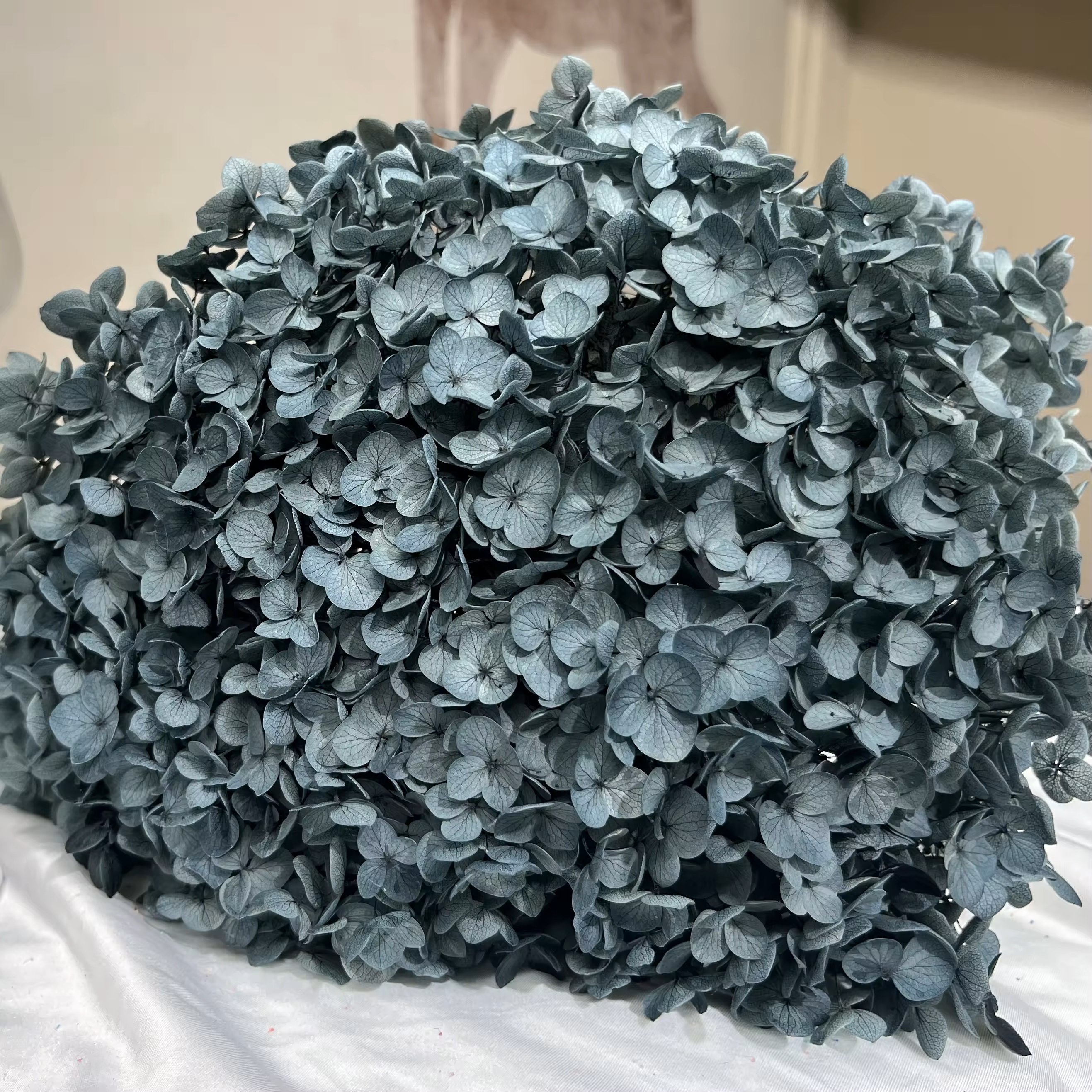 Hot-selling Natural Preserved Flower Dried Dlowers Hydrangea Real Rouch Hydrangea For Home Party Wedding Decoration