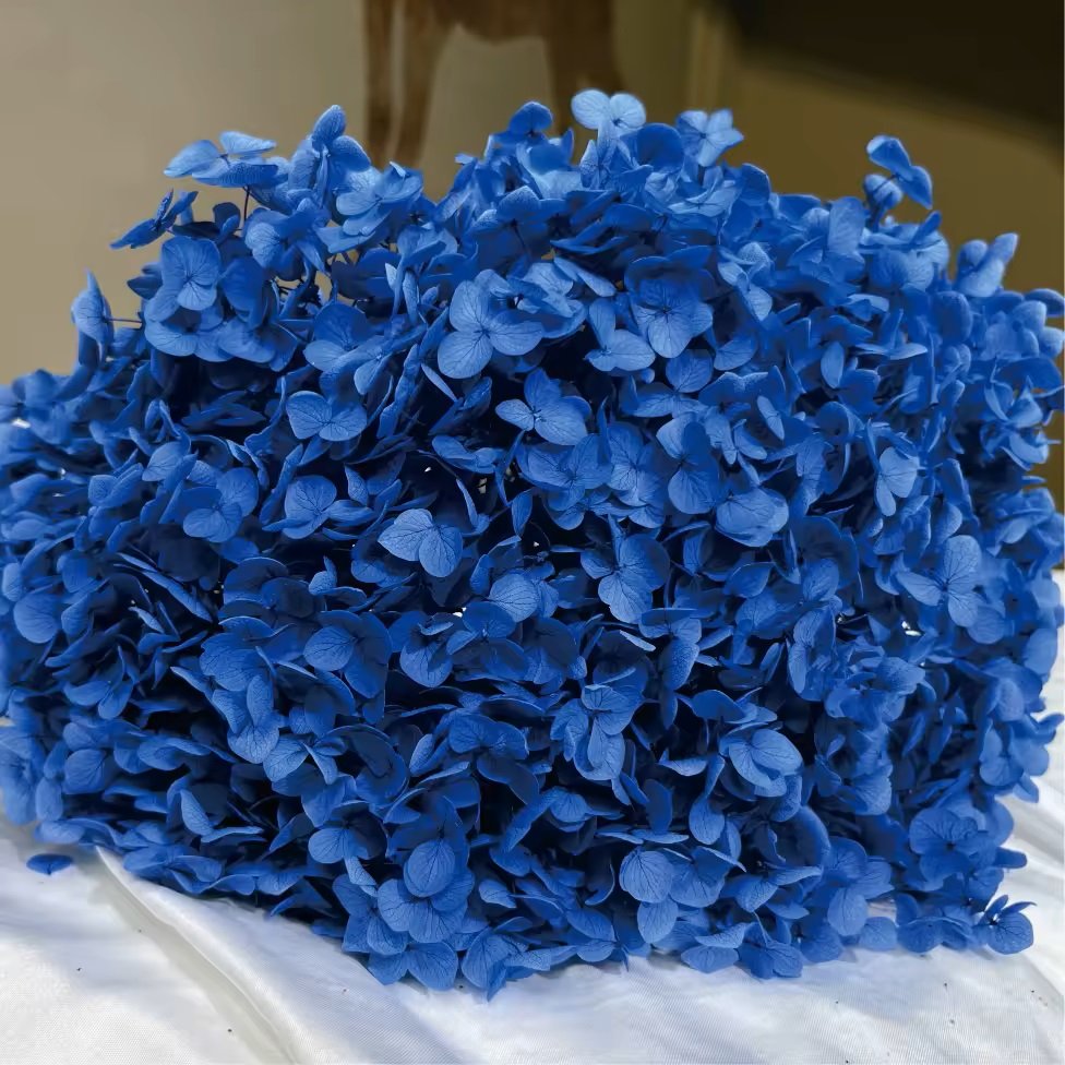 Hot-selling Natural Preserved Flower Dried Dlowers Hydrangea Real Rouch Hydrangea For Home Party Wedding Decoration