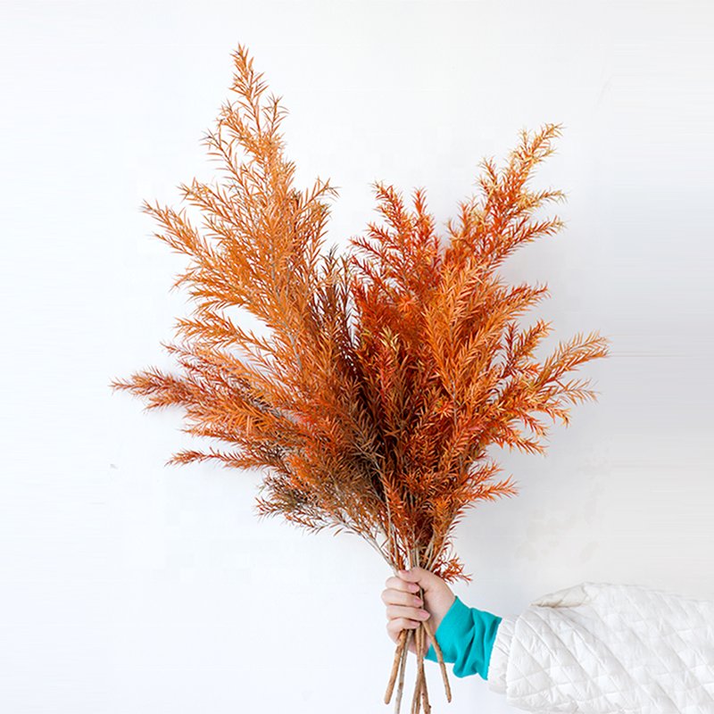 Softdream 2024 wholesale dried flower natural long lasting Melaleuca bracteata preserved flower for decor