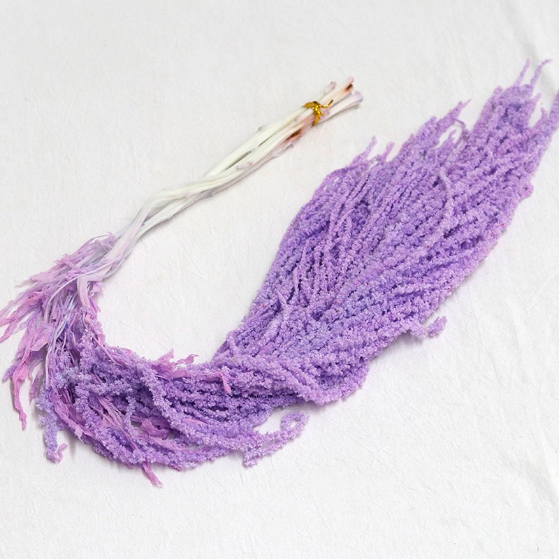 GH-087 Colorful immortal Decorative Preserved materials dried flower Hanging Rice Flower interior decoration